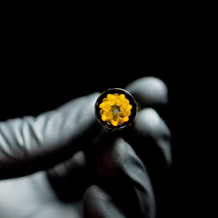 Proper Tips - Collab - Wu