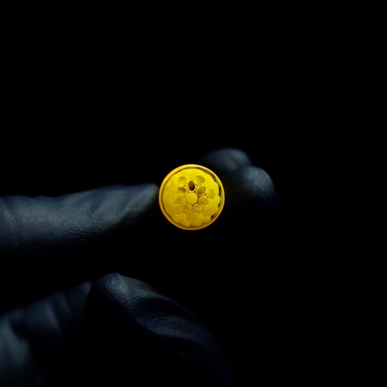 Proper Tips - Collab - Sturt Doinks